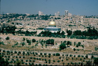 02870x66m?file=thumbnail