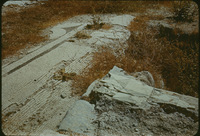 12579x454?file=thumbnail