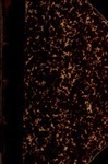 2227n199h?file=thumbnail