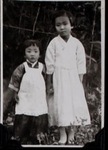 3j333d084?file=thumbnail