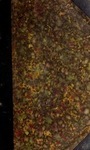 3x816v845?file=thumbnail
