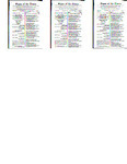 3x816z895?file=thumbnail