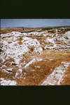 4j03d367q?file=thumbnail