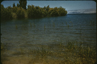 7p88cm32f?file=thumbnail