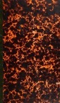 7s75f119d?file=thumbnail