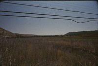 8c97kv443?file=thumbnail