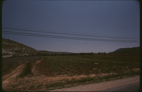 Cr56n4477?file=thumbnail