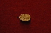 D791sh65v?file=thumbnail