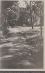 Ft8491937?file=thumbnail