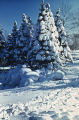 Fx719z510?file=thumbnail