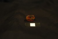 G158bj60n?file=thumbnail