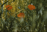 Gm80j067p?file=thumbnail