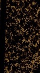 Jm214x71c?file=thumbnail