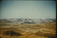 Mg74qr354?file=thumbnail