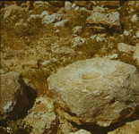 Mk61rn26d?file=thumbnail