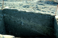Nz8061425?file=thumbnail