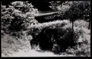 Pv63gb262?file=thumbnail