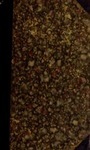 Pz50h4864?file=thumbnail