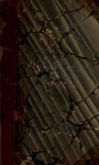Q811kw07r?file=thumbnail