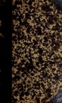 Q811kx20h?file=thumbnail