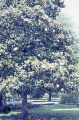 Rx914257x?file=thumbnail
