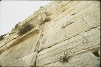 Sn00b257c?file=thumbnail