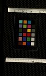 Sn00b546g?file=thumbnail