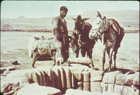 Tb09j982v?file=thumbnail