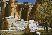 W66347659?file=thumbnail