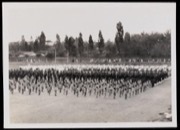 Wd376750p?file=thumbnail